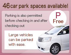 46 car park spaces available!